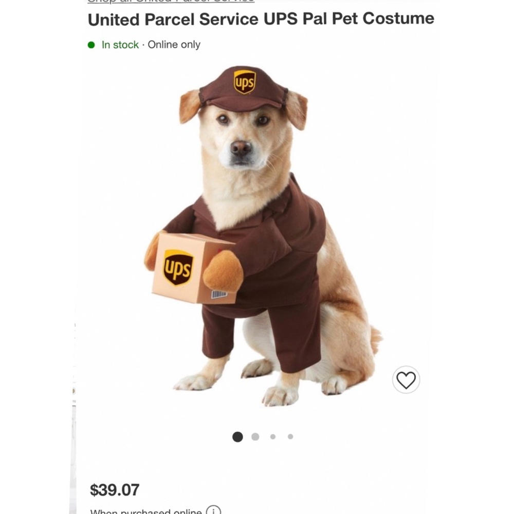 UPS dog costume